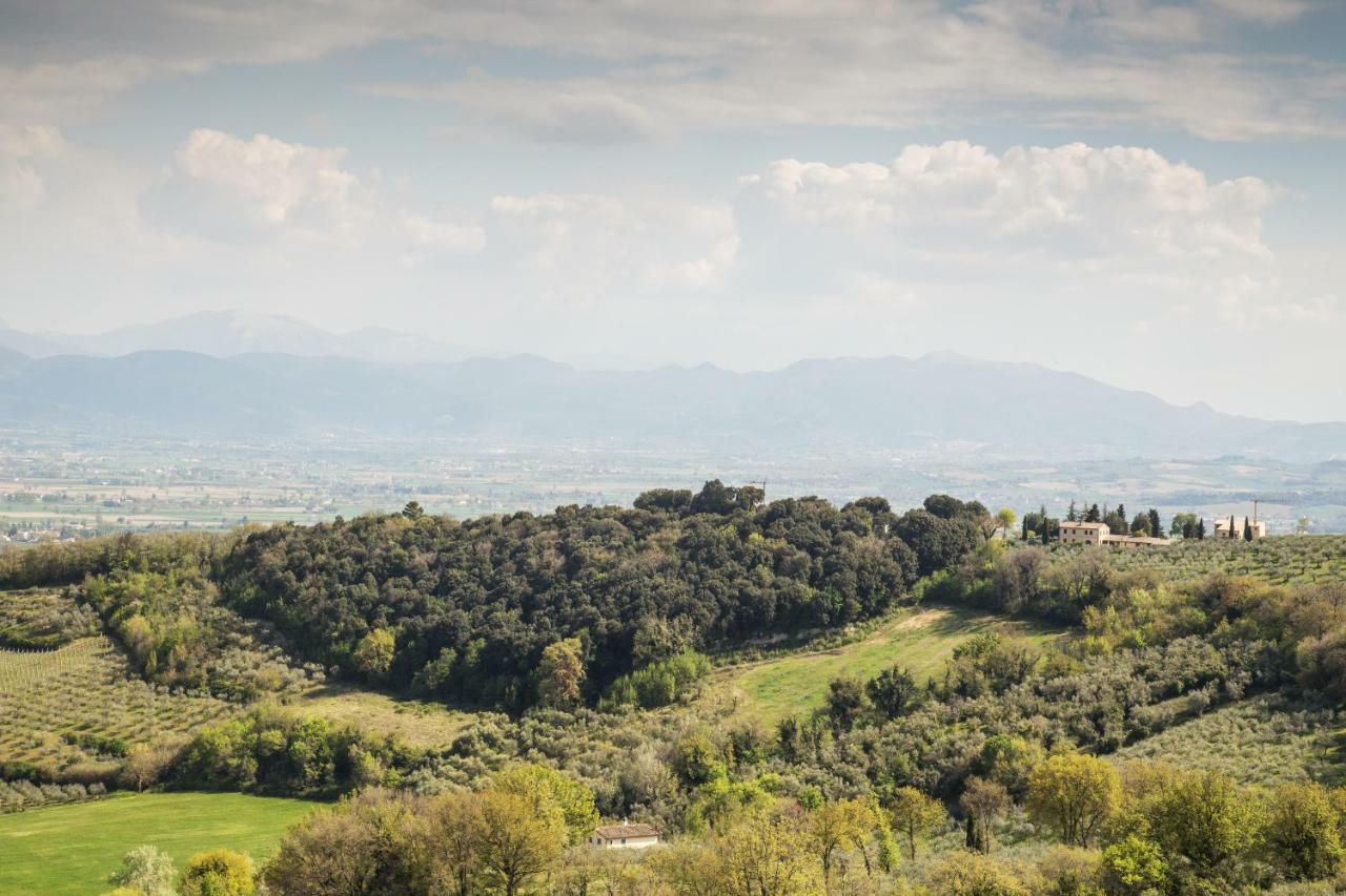 Casa Vacanze Montefalco Il Borgo公寓 外观 照片